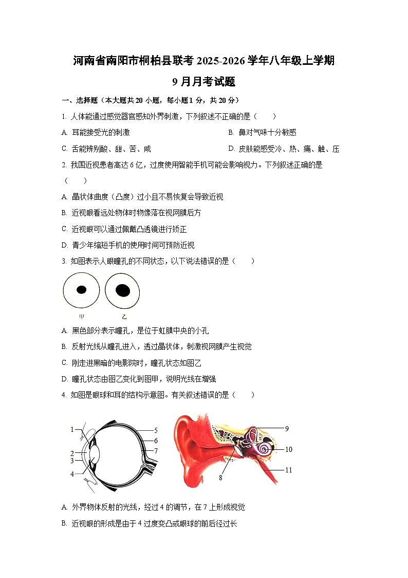 河南省南阳市桐柏县联考2025-2026学年八年级上学期9月月考生物试题（学生版）第1页