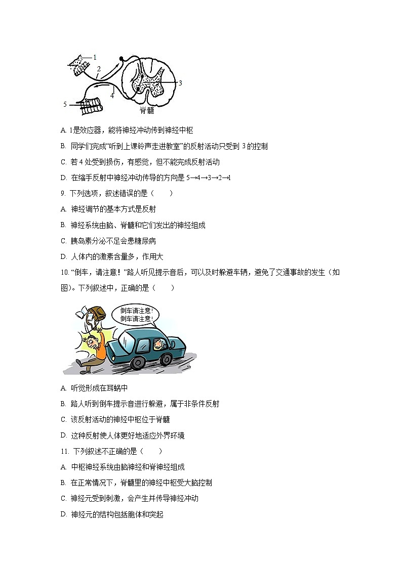 河南省南阳市桐柏县联考2025-2026学年八年级上学期9月月考生物试题（学生版）第3页