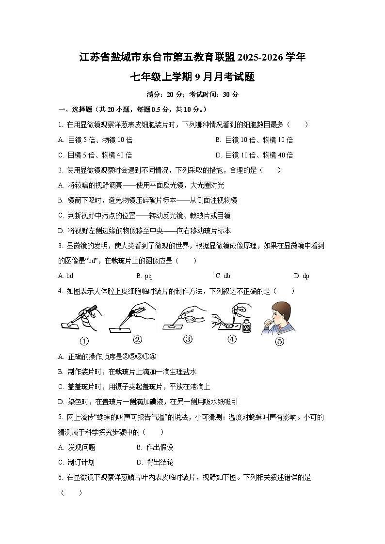 江苏省盐城市东台市第五教育联盟2025-2026学年七年级上学期9月月考生物试题（学生版）第1页
