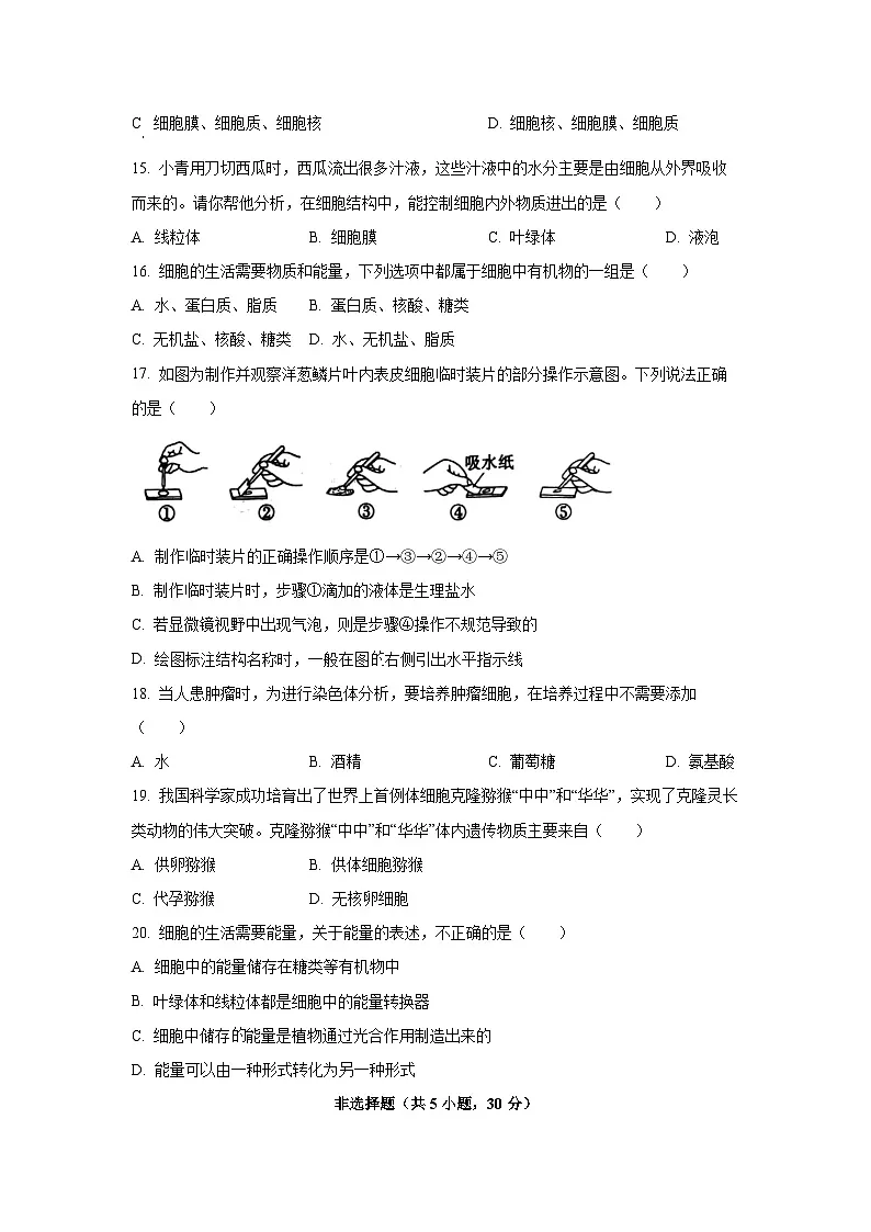 河南省省直辖县级行政单位联考2025-2026学年七年级上学期9月月考生物试题（学生版）第3页