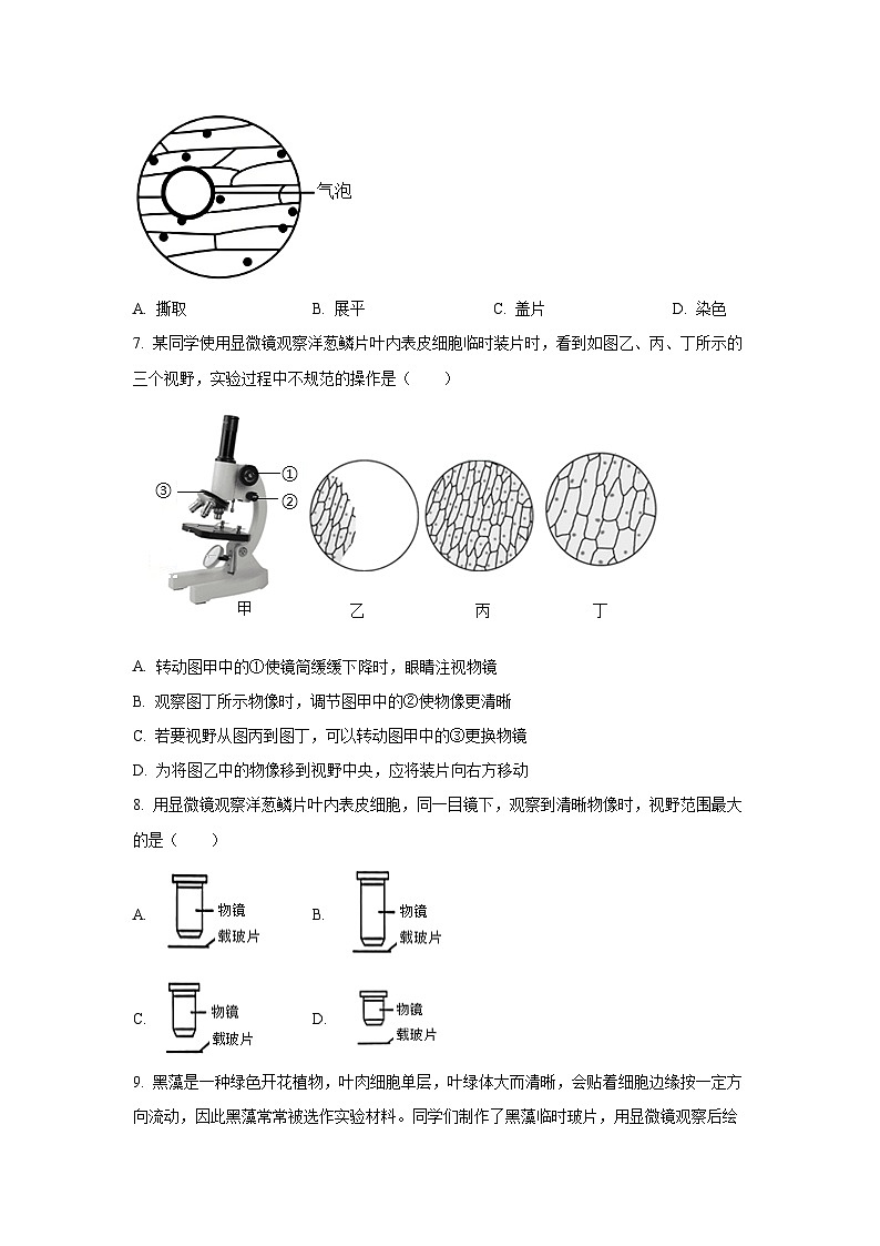 广东省深圳市龙华区2025-2026学年七年级上学期第一次月考生物试题（学生版）第2页