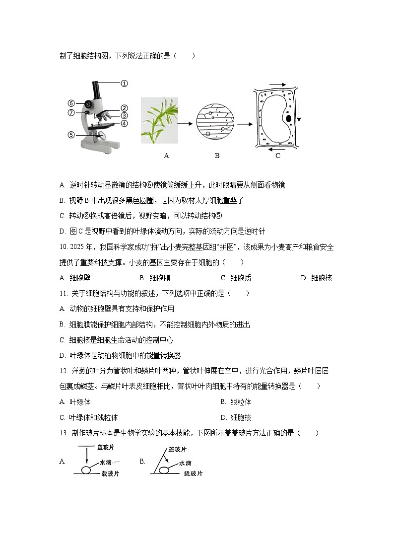 广东省深圳市龙华区2025-2026学年七年级上学期第一次月考生物试题（学生版）第3页