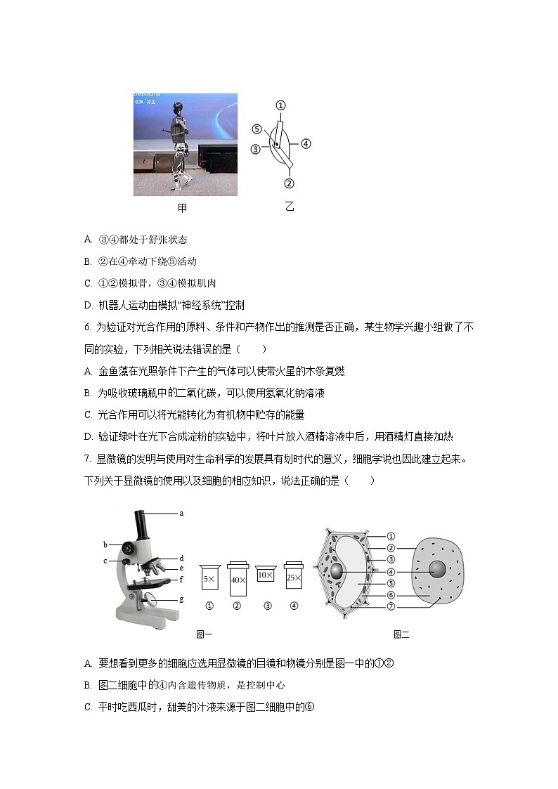 山东省东明县2025-2026学年七年级上学期第一次月考生物试题（学生版）第2页