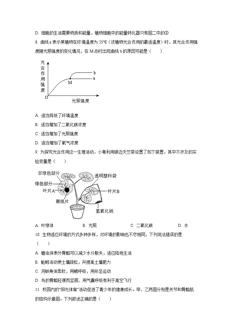 山东省东明县2025-2026学年七年级上学期第一次月考生物试题（学生版）第3页