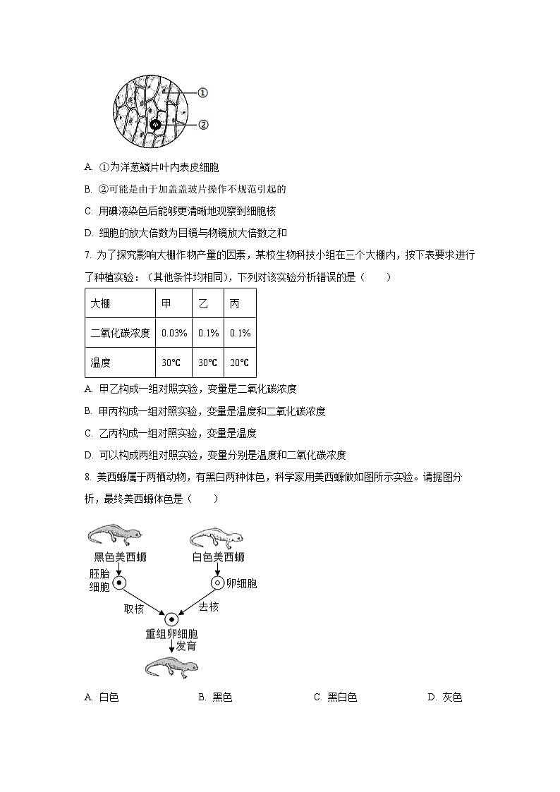 江苏省盐城市东台市第五教育联盟2025-2026学年七年级上学期9月月考生物试题（学生版）第2页