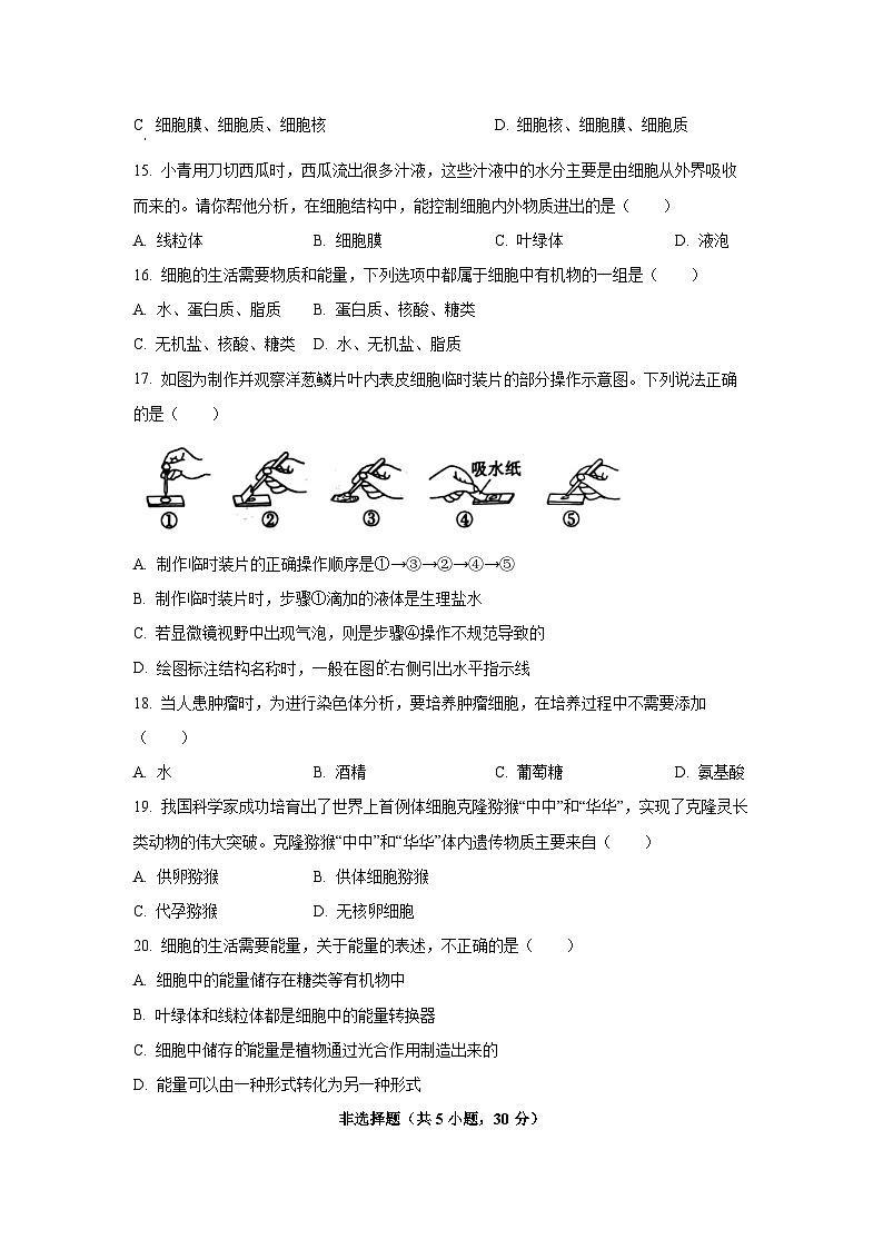 河南省省直辖县级行政单位联考2025-2026学年七年级上学期9月月考生物试题（学生版）第3页