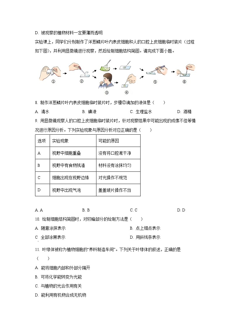陕西省渭南市澄城县2025-2026学年七年级上学期第一次月考生物试题（学生版）第3页