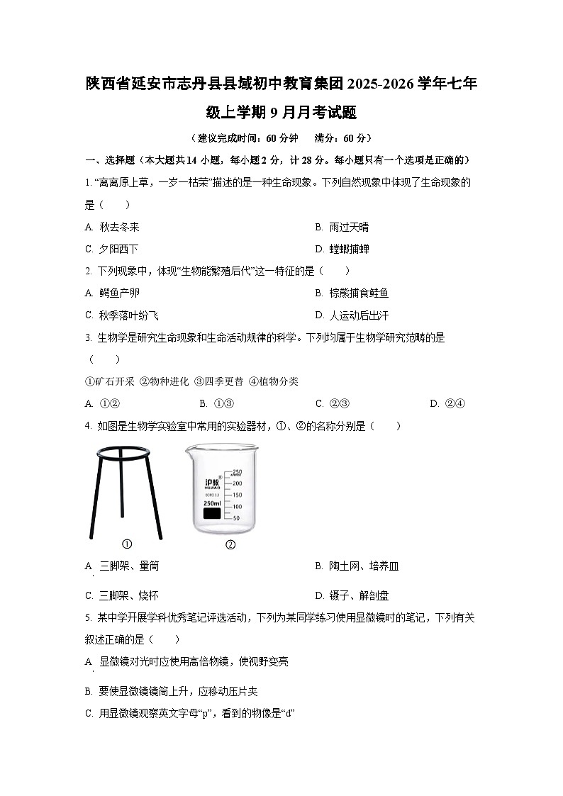 陕西省延安市志丹县县域初中教育集团2025-2026学年七年级上学期9月月考生物试题第1页
