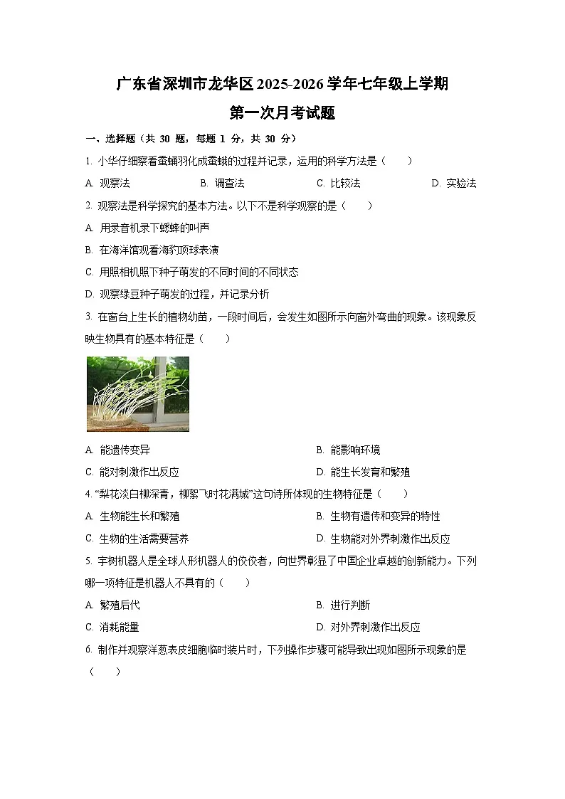 广东省深圳市龙华区2025-2026学年七年级上学期第一次月考生物试题（学生版）第1页
