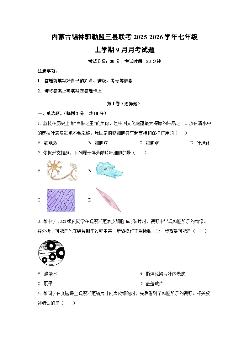内蒙古锡林郭勒盟三县联考2025-2026学年七年级上学期9月月考生物试题（学生版）第1页