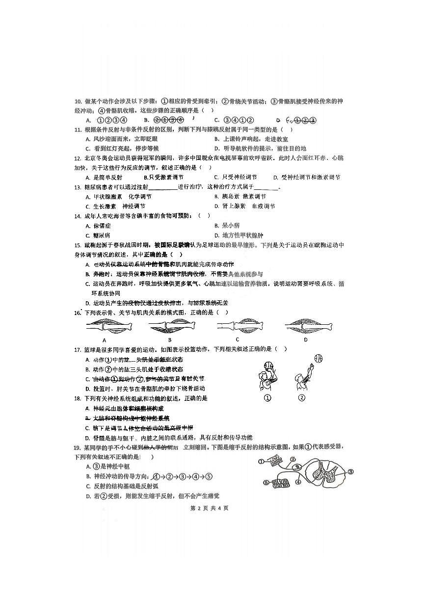 2025年哈尔滨市69中学八年级（上）9月月考生物试卷及答案第2页