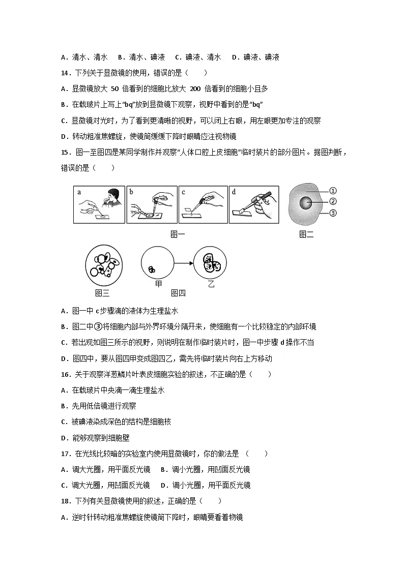 人教版（2024）七年级上册生物第一单元第二章《认识细胞》测试卷（含答案解析）第3页