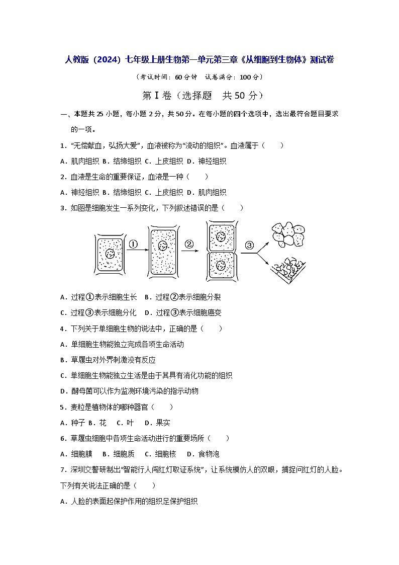 人教版（2024）七年级上册生物第一单元第三章《从细胞到生物体》测试卷（含答案解析）第1页