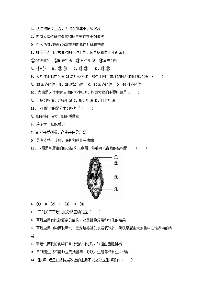 人教版（2024）七年级上册生物第一单元第三章《从细胞到生物体》测试卷（含答案解析）第2页