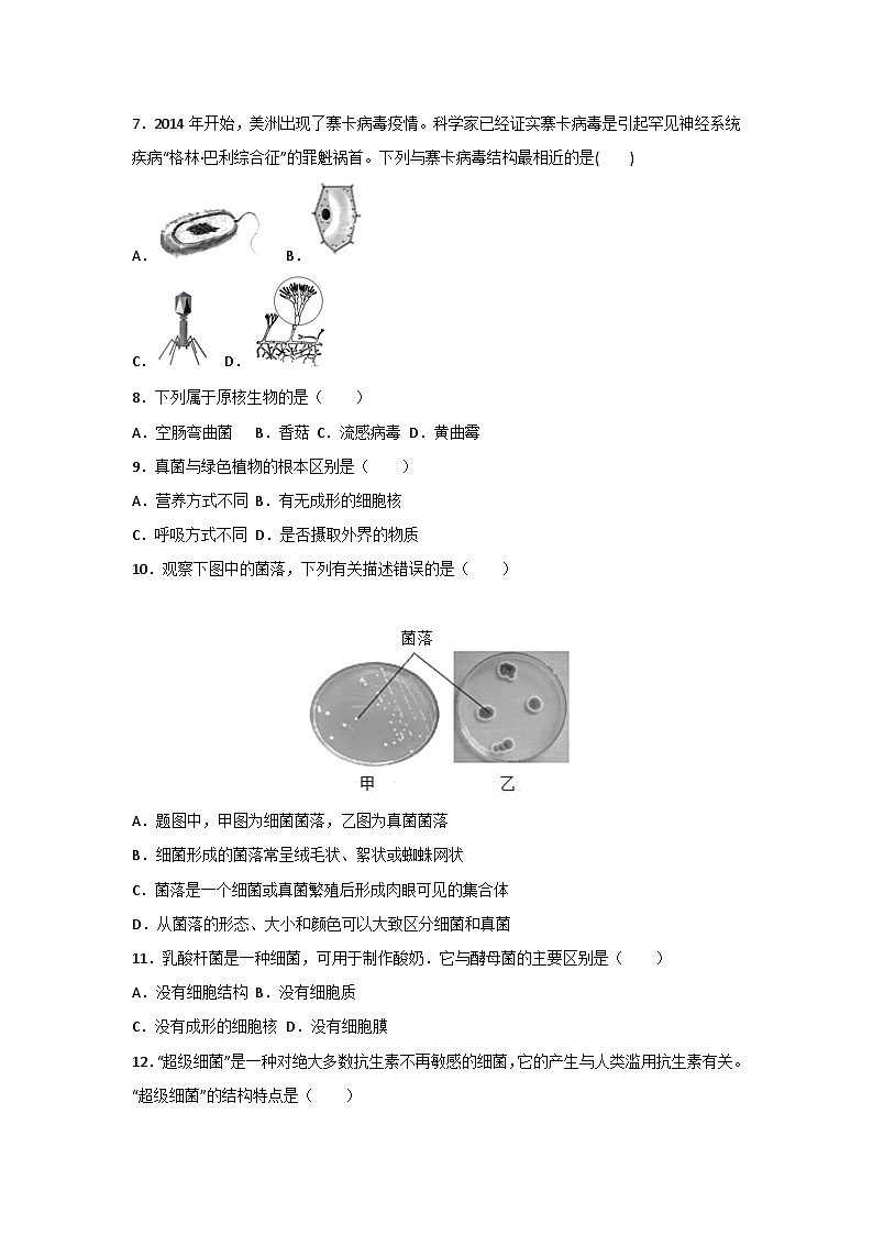 人教版（2024）七年级上册生物第二单元第三章《微生物》测试卷（含答案解析）第2页