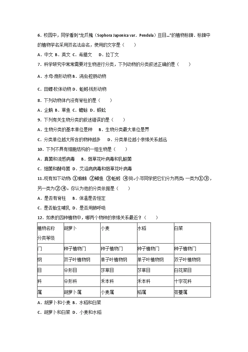人教版（2024）七年级上册生物第二单元第四章《生物分类的方法》测试卷（含答案解析）第2页