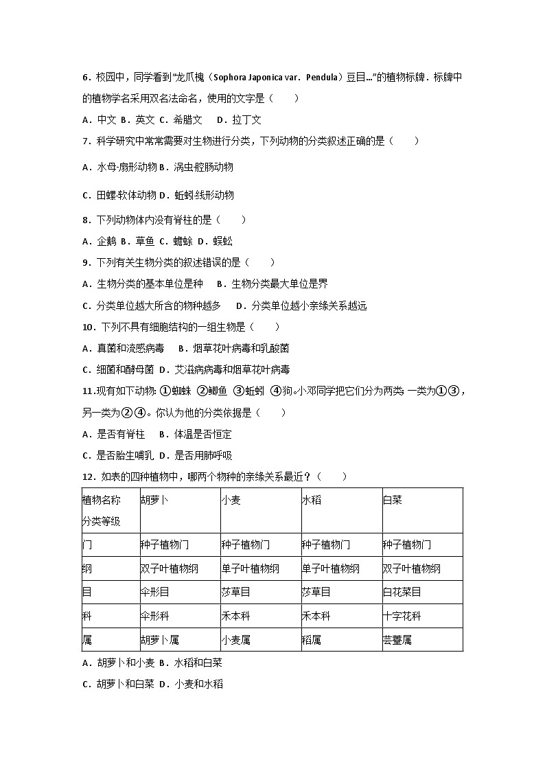 人教版（2024）七年级上册生物第二单元第四章《生物分类的方法》测试卷（含答案解析）第2页