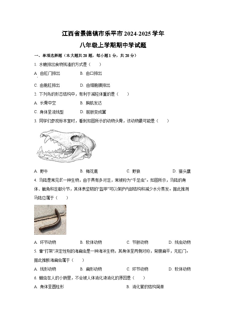 江西省景德镇市乐平市2024-2025学年八年级上学期期中学生物试卷（学生版）第1页