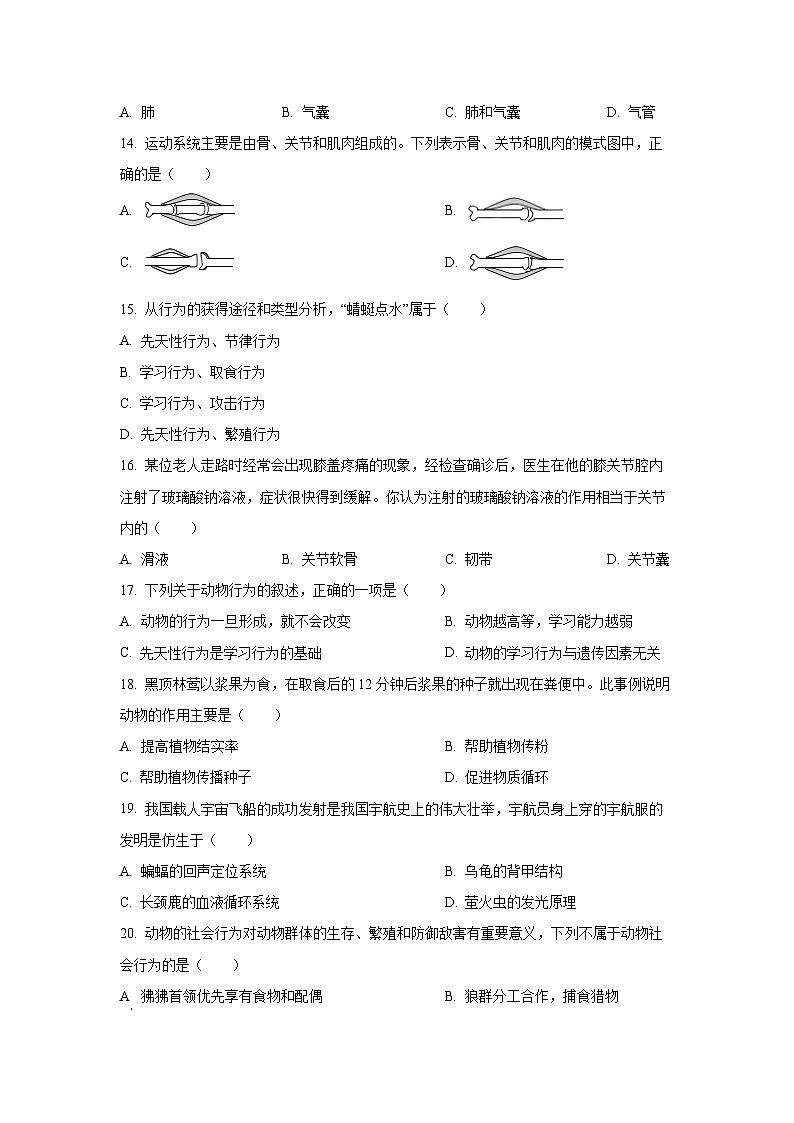 江西省景德镇市乐平市2024-2025学年八年级上学期期中学生物试卷（学生版）第3页