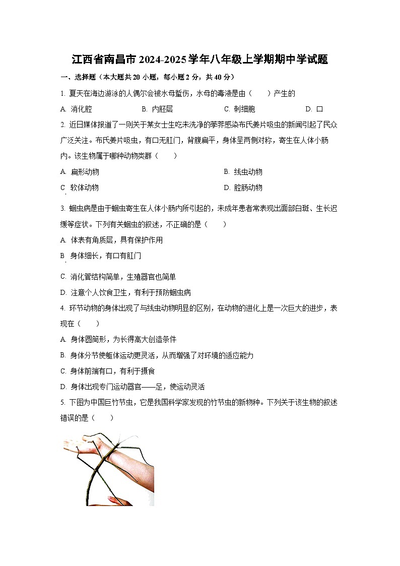 江西省南昌市2024-2025学年八年级上学期期中学生物试卷（学生版）第1页