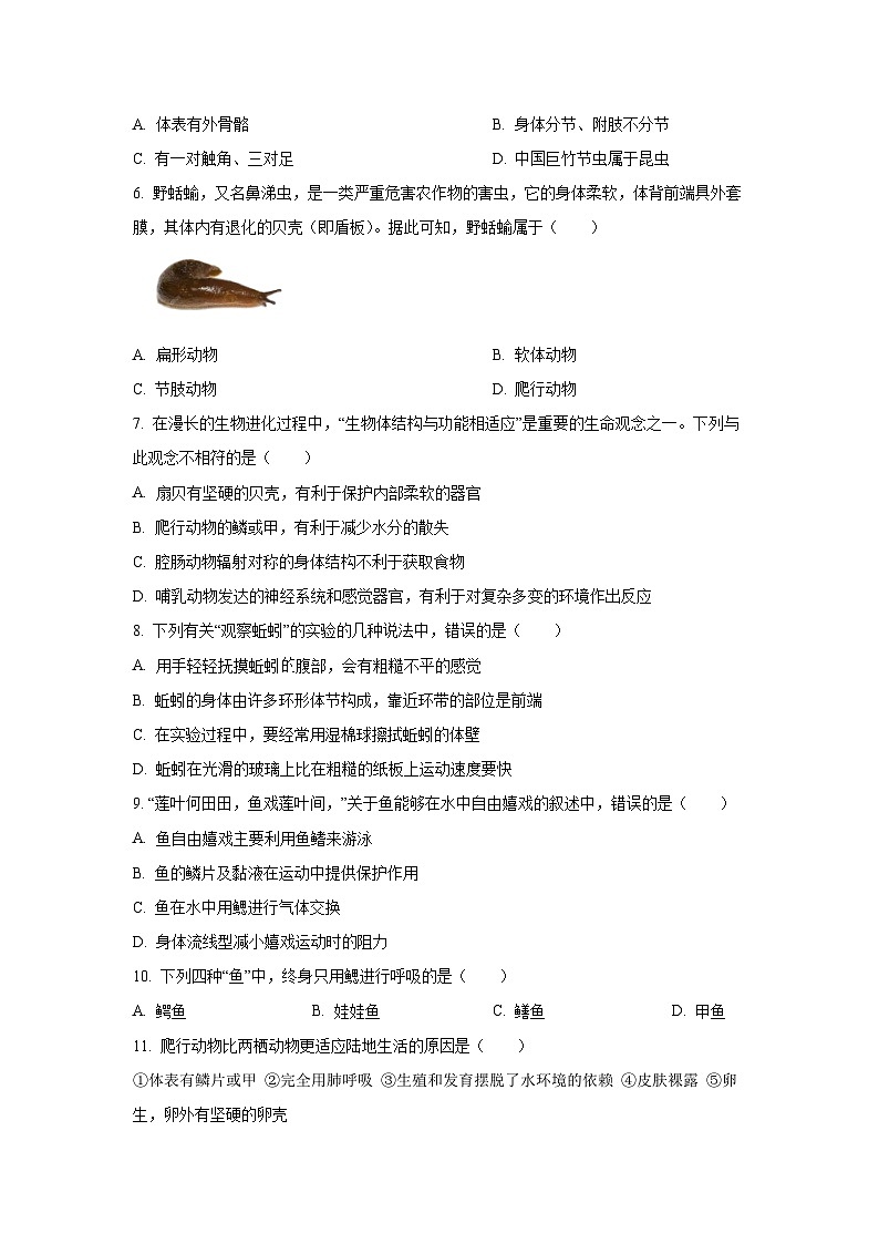 江西省南昌市2024-2025学年八年级上学期期中学生物试卷（学生版）第2页
