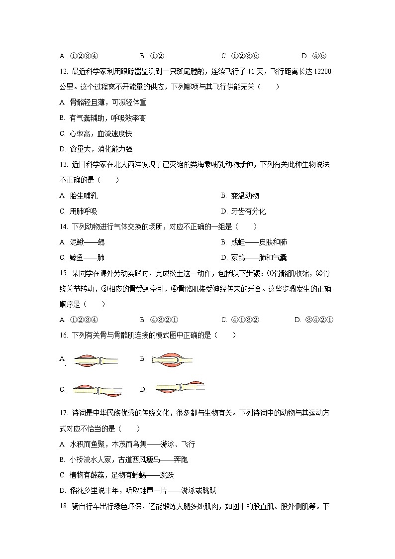 江西省南昌市2024-2025学年八年级上学期期中学生物试卷（学生版）第3页