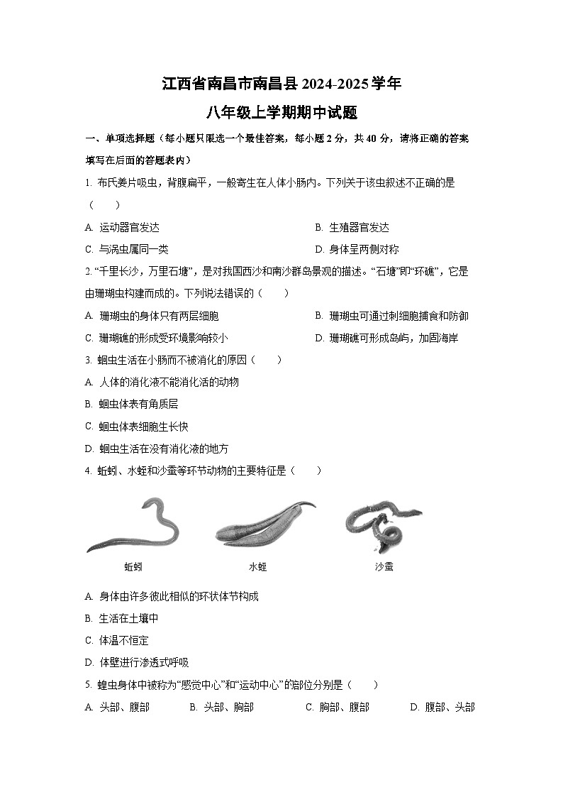 江西省南昌市南昌县2024-2025学年八年级上学期期中生物试卷（学生版）第1页