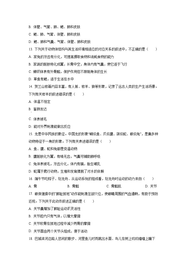 江西省南昌市南昌县2024-2025学年八年级上学期期中生物试卷（学生版）第3页