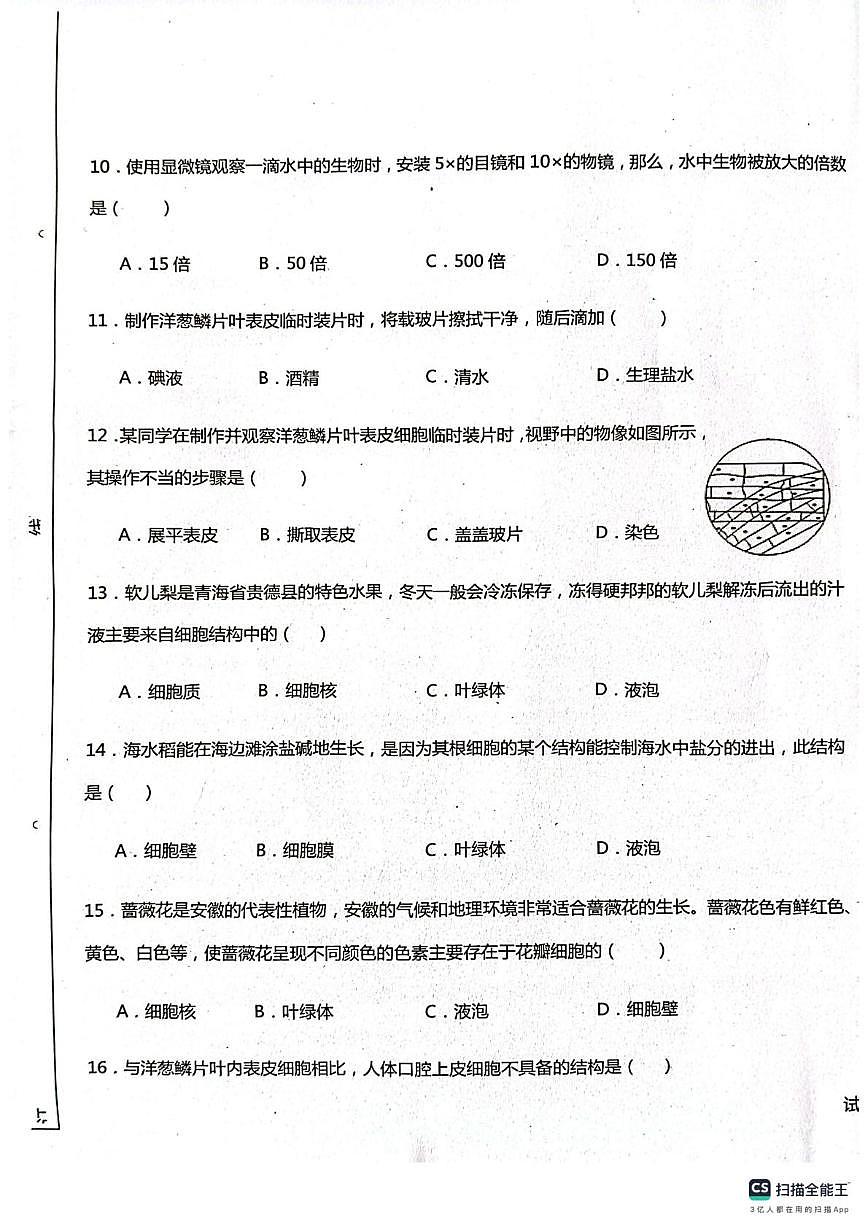 新疆克孜勒苏柯尔克孜自治州阿克陶县阿克陶梧桐中学、阿克陶玉麦中学2025-2026学年七年级上学期10月月考生物试题第3页