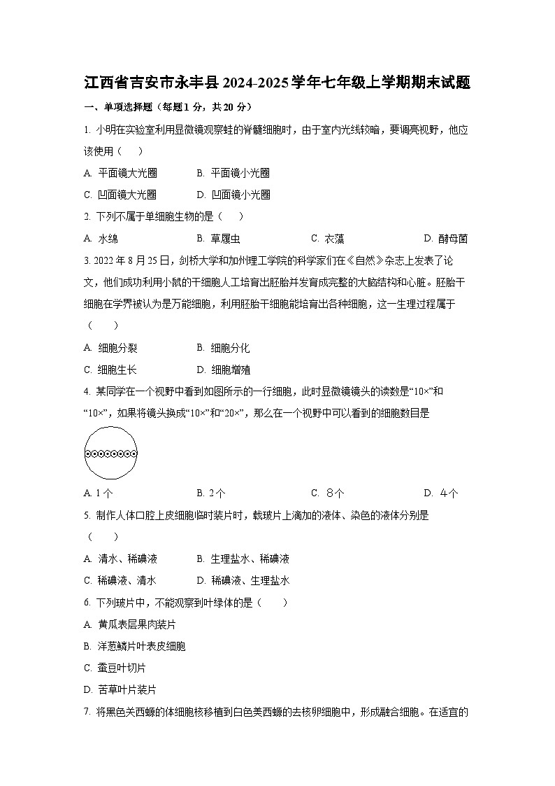 江西省吉安市永丰县2024-2025学年七年级上学期期末生物试卷（学生版）第1页