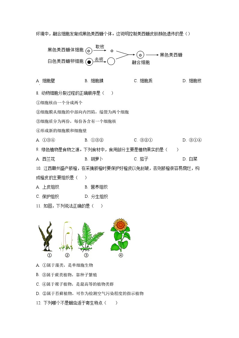 江西省吉安市永丰县2024-2025学年七年级上学期期末生物试卷（学生版）第2页