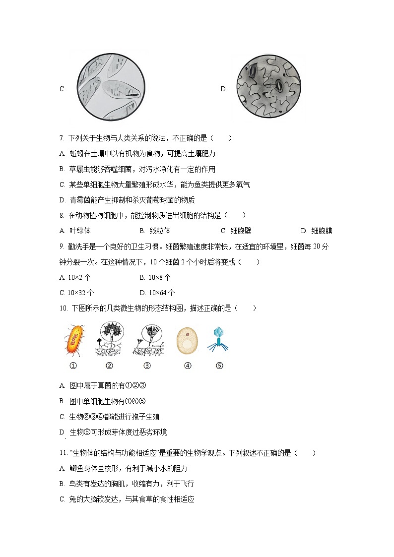 江西省吉安市吉州区2024-2025学年七年级上学期期末生物试卷（学生版）第2页