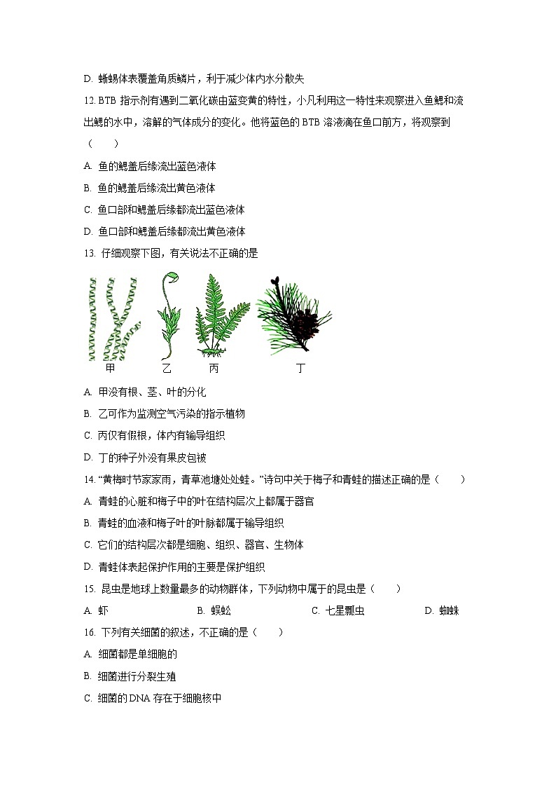 江西省吉安市吉州区2024-2025学年七年级上学期期末生物试卷（学生版）第3页