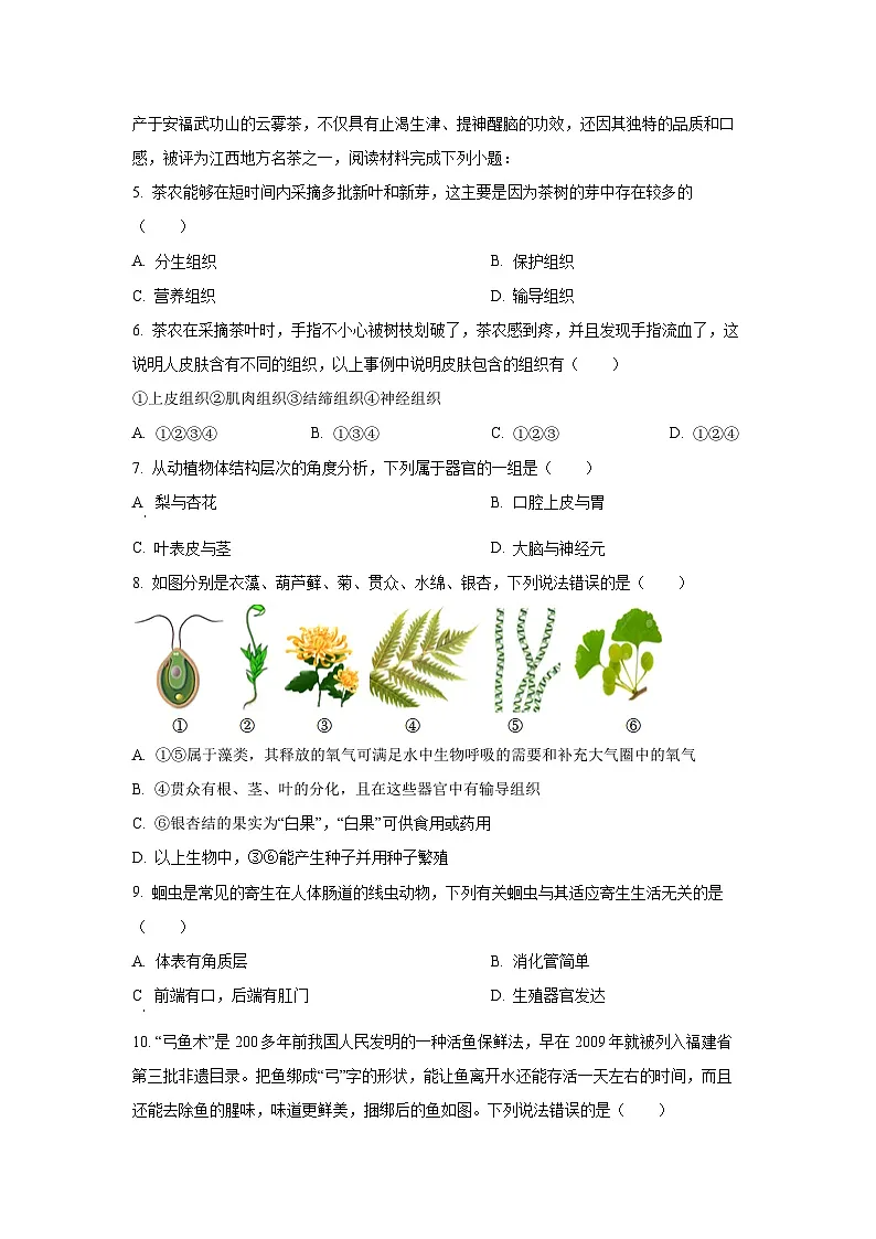 江西省吉安市安福县2024-2025学年七年级上学期期末生物试卷（学生版）第2页