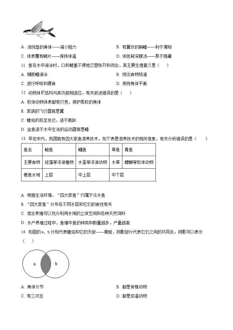 精品解析：广东省深圳高级中学北校区等多校2024-2025学年八年级期中生物试题（原卷版）第3页