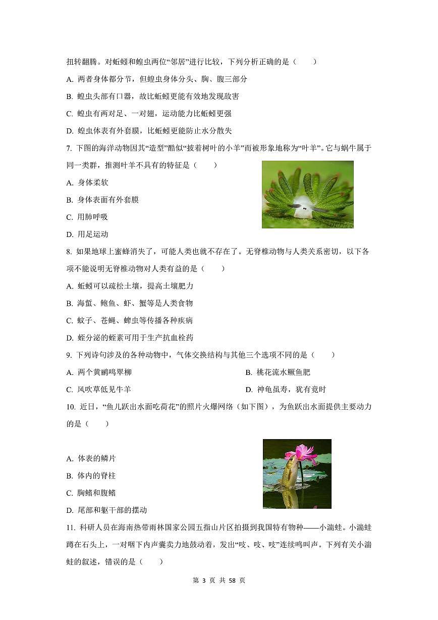 2024-2025学年深圳市八年级上学期期中生物【选择题】真题汇编第3页