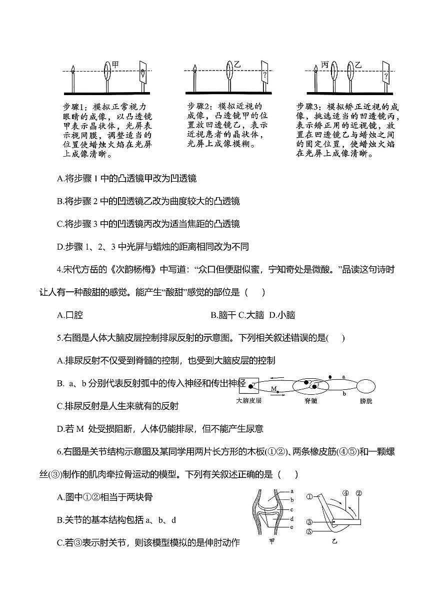 2025-2026学年人教版八年级生物上册期中考试复习测评试卷含答案第2页