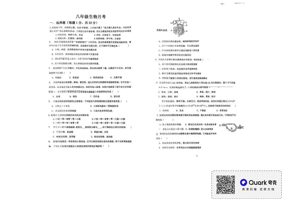 江苏省徐州市邳州市宿羊山镇徐楼中学2025-2026学年八年级上学期10月月考生物试题第1页