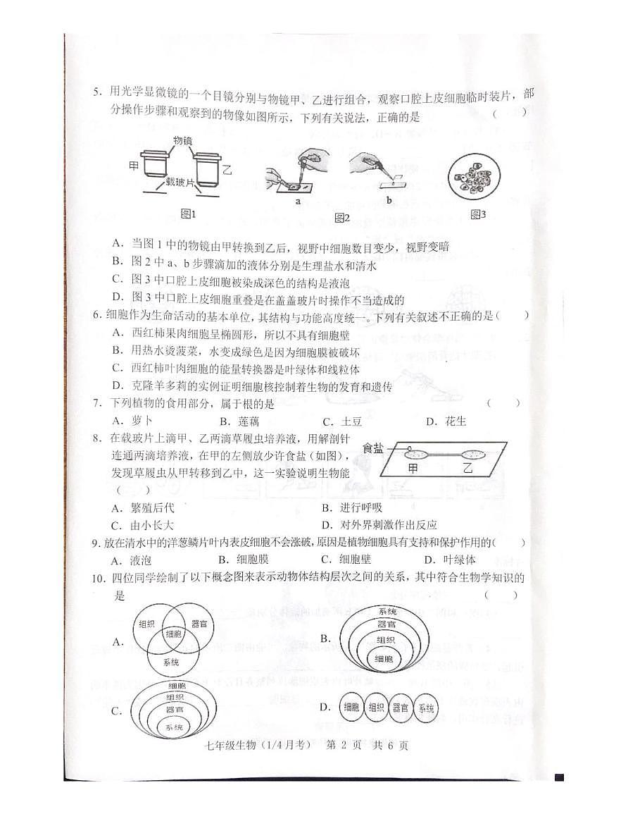 山东省菏泽市鲁西新区2025-2026学年七年级上学期第一次月考生物试题第2页