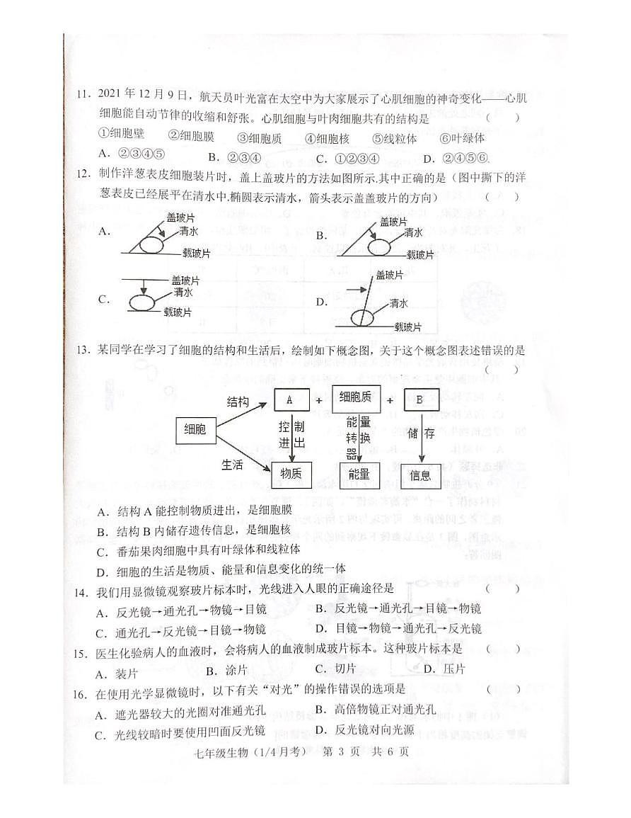 山东省菏泽市鲁西新区2025-2026学年七年级上学期第一次月考生物试题第3页
