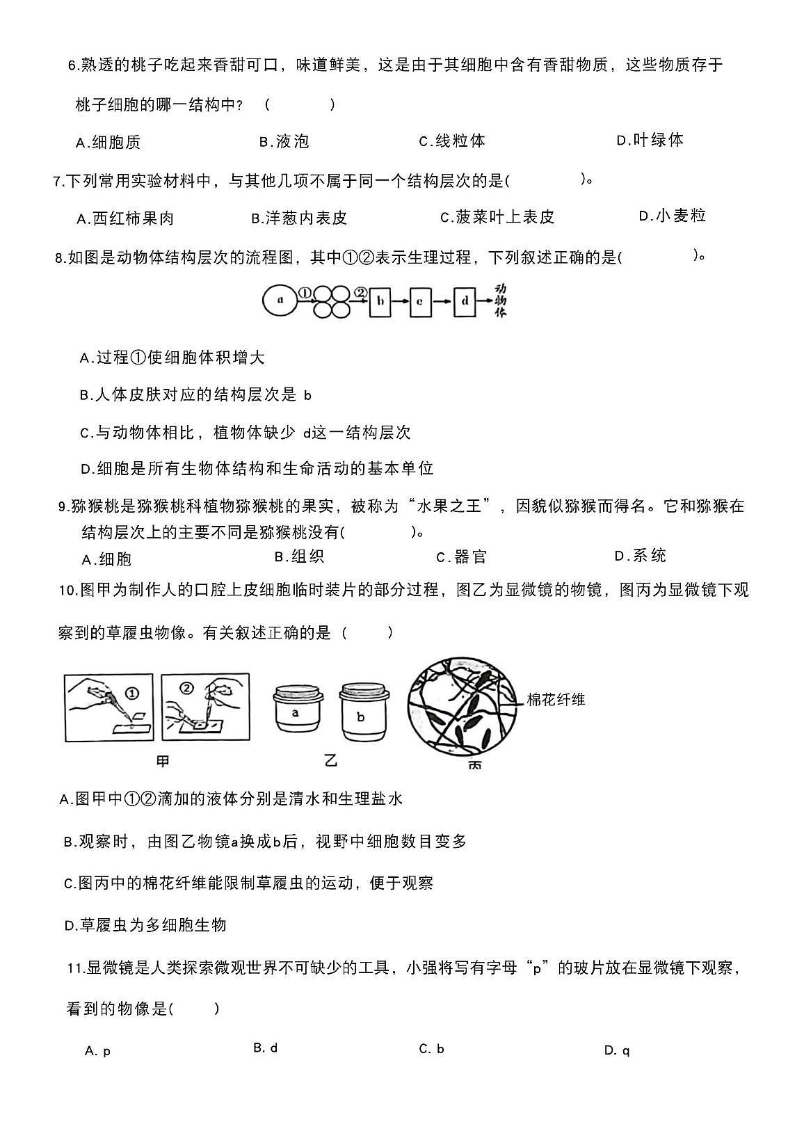 枣庄29中学2025-2026学年七年级上学期第一次月考生物试题 枣庄29中学2025-2026学年七年级上学期第一次月考生物试题第2页