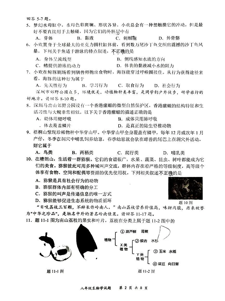 2024-2025学年深圳市龙岗区八年级上册期末生物试卷第2页
