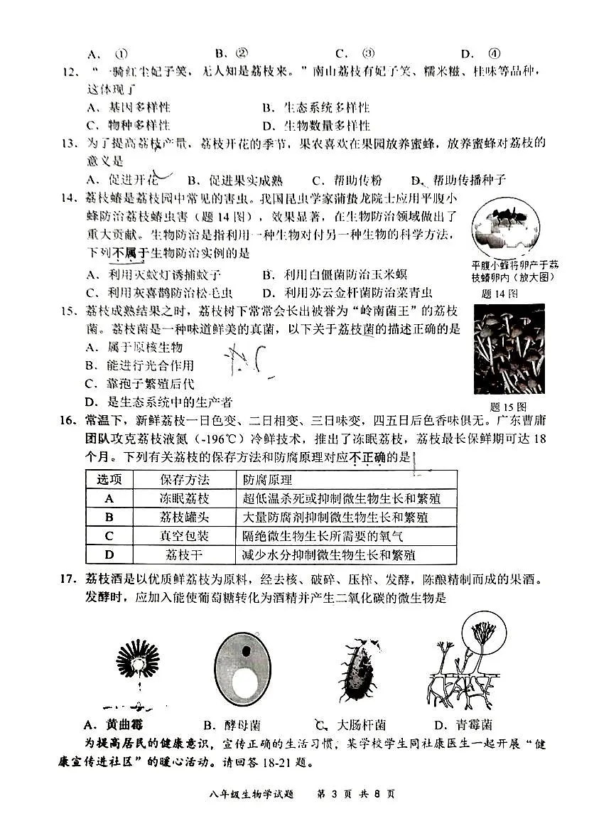 2024-2025学年深圳市龙岗区八年级上册期末生物试卷第3页