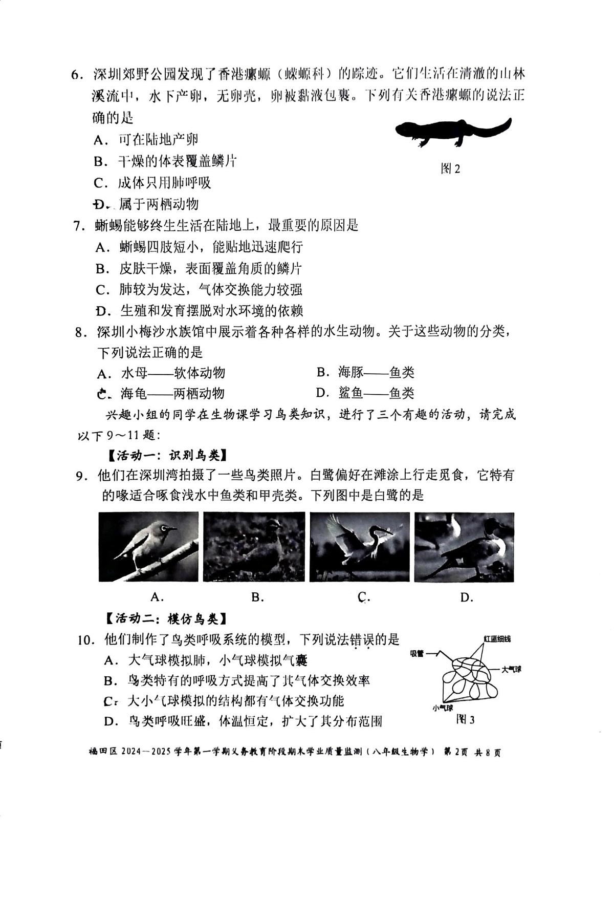2024-2025学年深圳市福田区八年级上册期末生物试卷无答案第2页