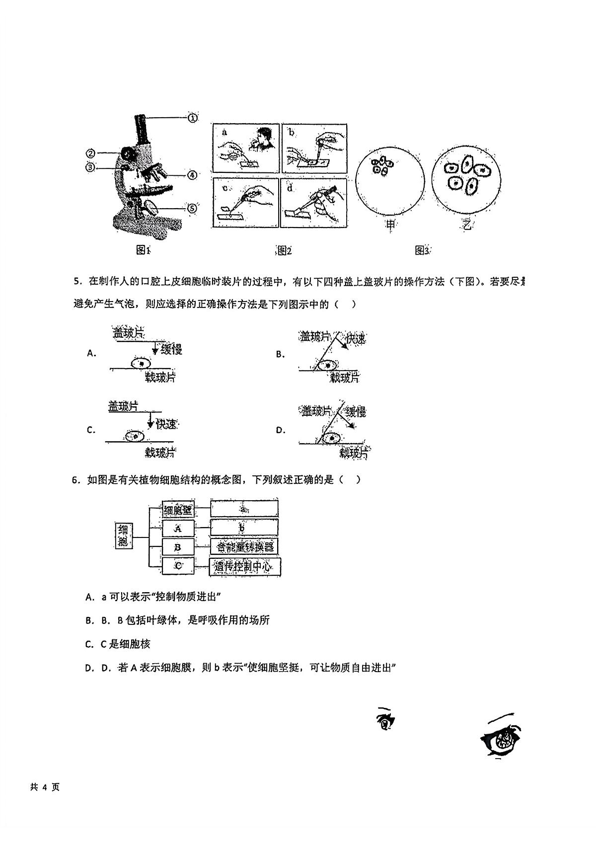 甘肃省兰州市第八十八中学2024-2025学年七年级上学期生物期中考试试卷第2页