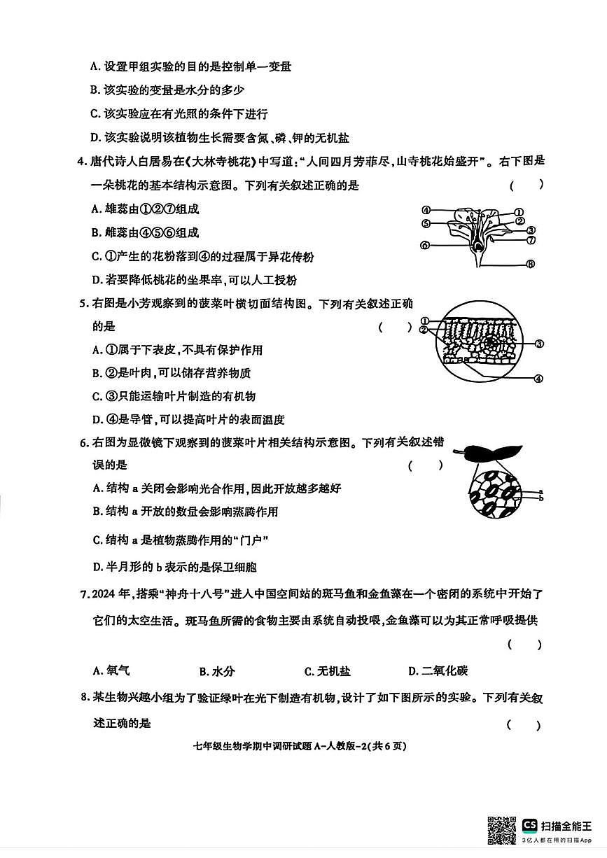 陕西省咸阳市乾县吴店九年制学校2024-2025学年七年级下学期期中调研生物学试题第2页