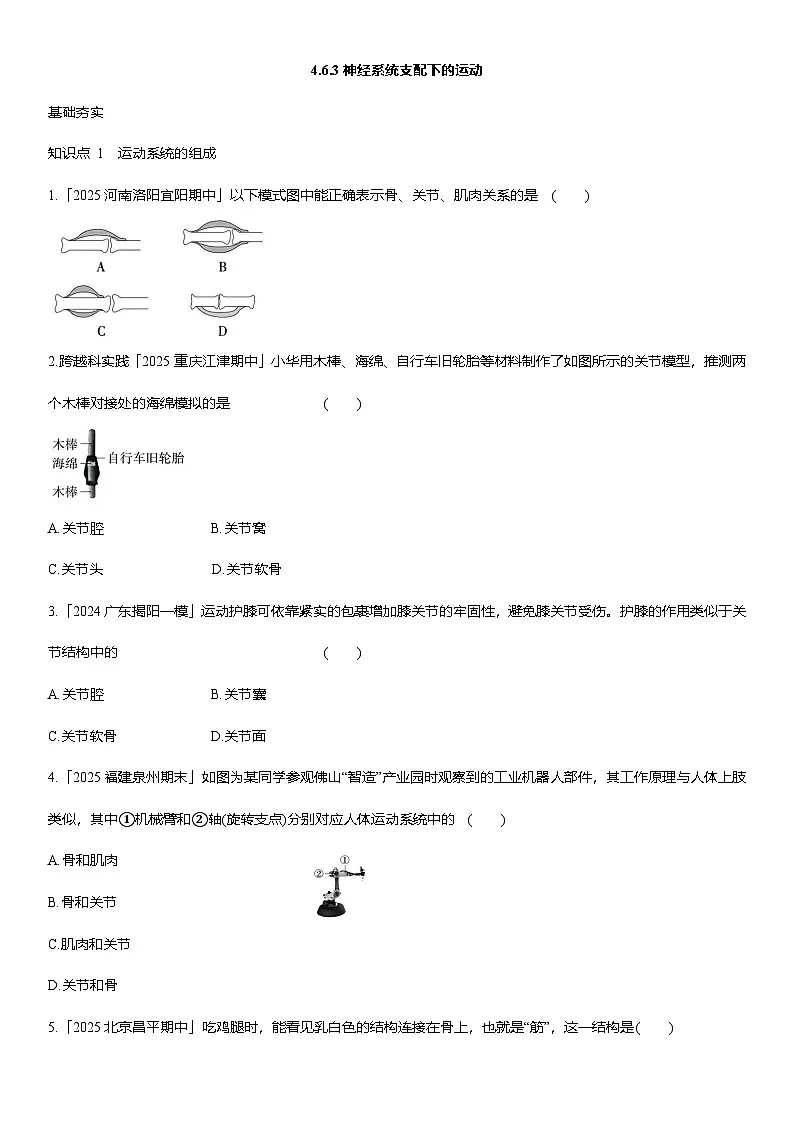4.6.3++神经系统支配下的运动++同步练习-2025-2026学年人教版八年级生物上册第1页