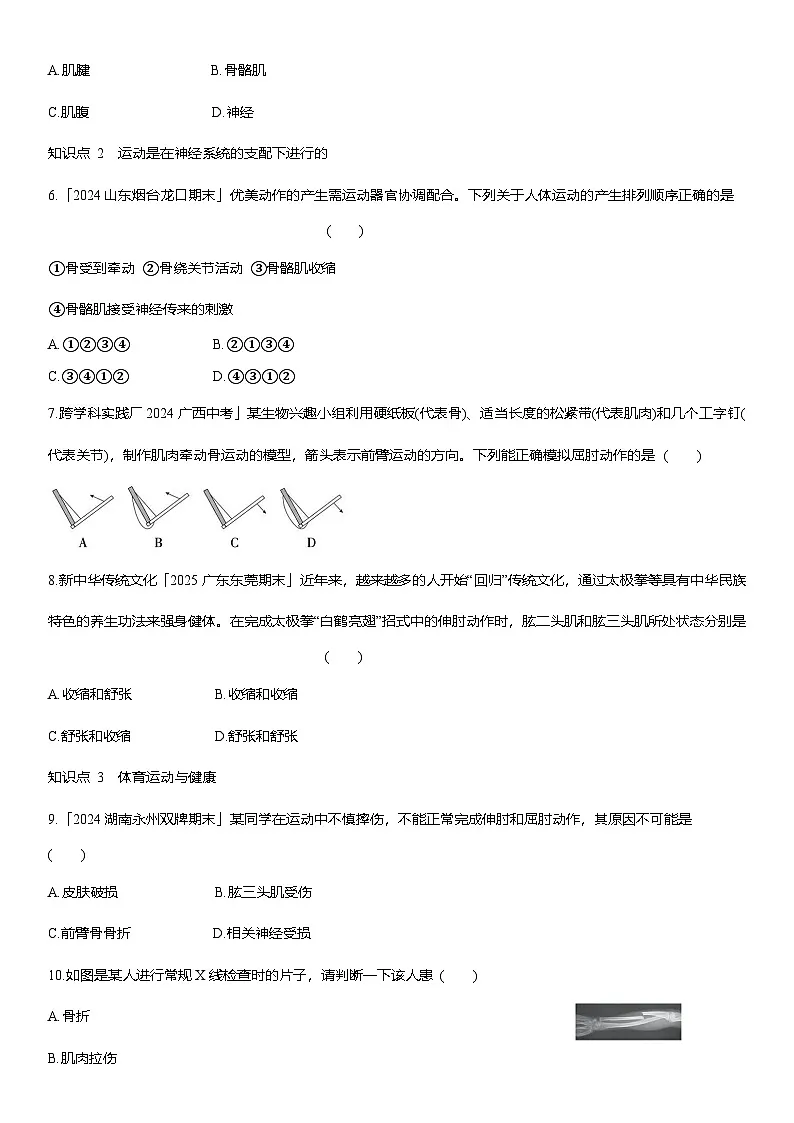 4.6.3++神经系统支配下的运动++同步练习-2025-2026学年人教版八年级生物上册第2页