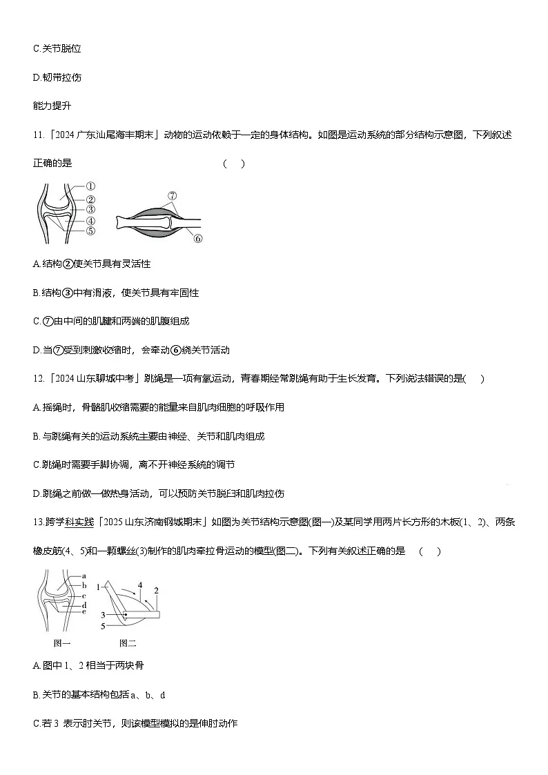 4.6.3++神经系统支配下的运动++同步练习-2025-2026学年人教版八年级生物上册第3页