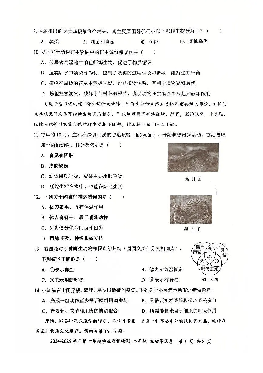 2024-2025学年深圳市罗湖区八年级上册期末生物试卷第3页